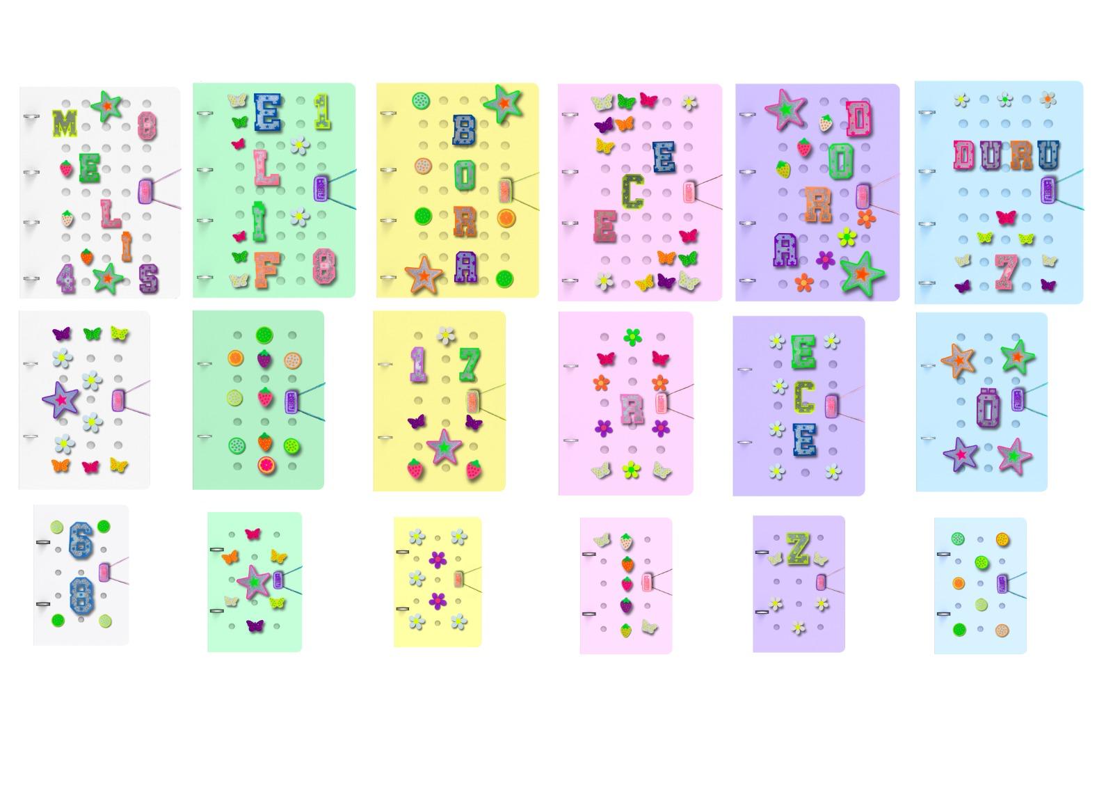 DELIC SERIES - A4 BINDER (Galeri)